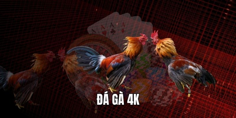 Đá Gà 4K
