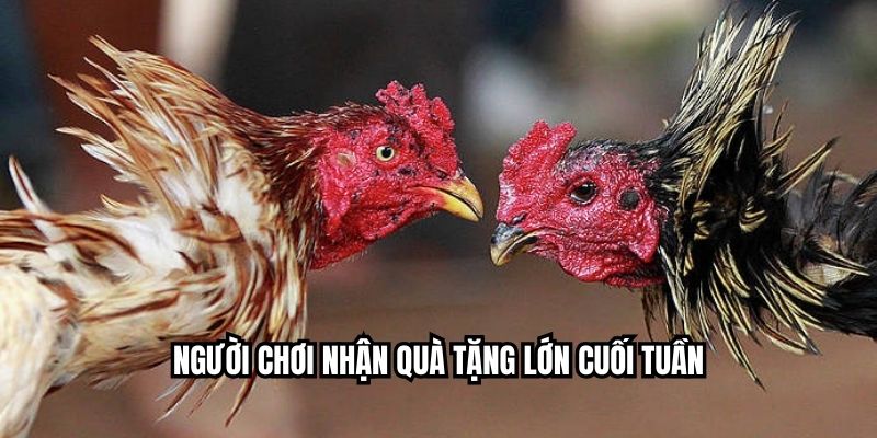 Người chơi nhận quà tặng lớn cuối tuần