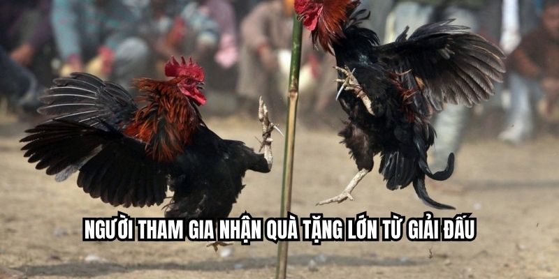 Người tham gia nhận quà tặng lớn từ giải đấu